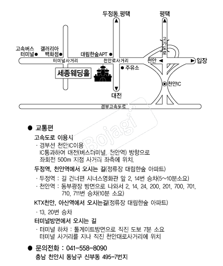 ��������Ȧ(õ��) �൵ ���ڱ� ī�� ûø�� 