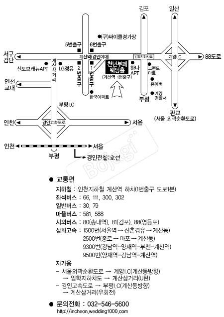 õ��������Ȧ(��õ) �൵ ���ڱ� ī�� ûø�� 