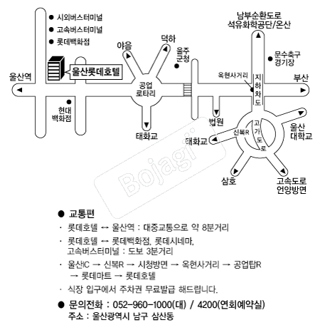 �Ե�ȣ��(���) �൵ ���ڱ� ī�� ûø�� 