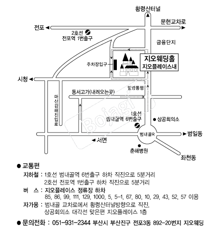 ��������Ȧ �൵ ���ڱ� ī�� ûø�� 