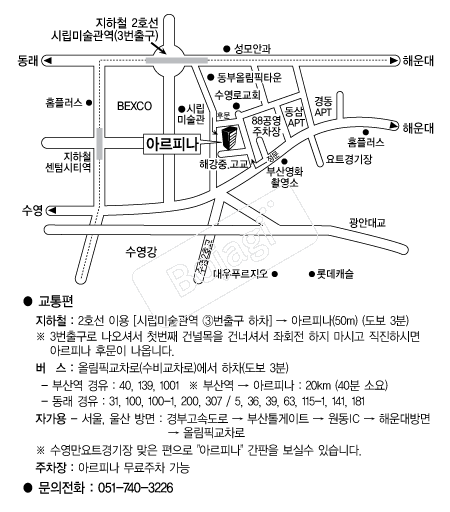 �Ƹ��ǳ� �൵ ���ڱ� ī�� ûø�� 