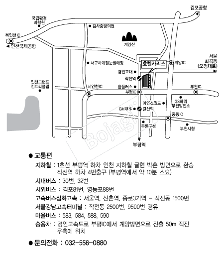 ȣ��ī���� �൵ ���ڱ� ī�� ûø�� 