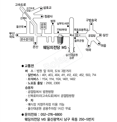 ����������MS �൵ ���ڱ� ī�� ûø�� 