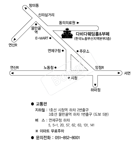 �ٺ�ٿ���Ȧ �൵ ���ڱ� ī�� ûø�� 