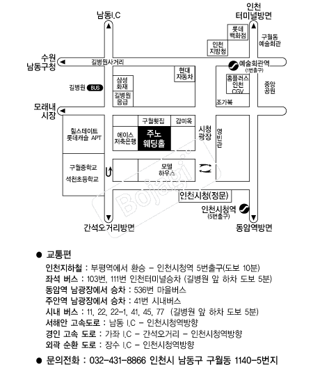 �ֳ����Ȧ �൵ ���ڱ� ī�� ûø�� 