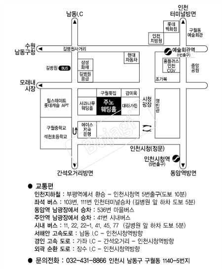 �ֳ����Ȧ �൵ ���ڱ� ī�� ûø�� 