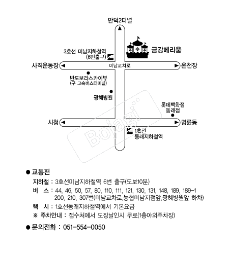 �޸���ݰ������� �൵ ���ڱ� ī�� ûø�� 