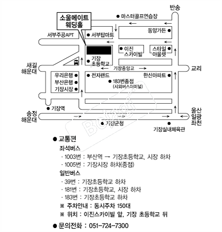 �ҿ����Ʈ�������� �൵ ���ڱ� ī�� ûø�� 