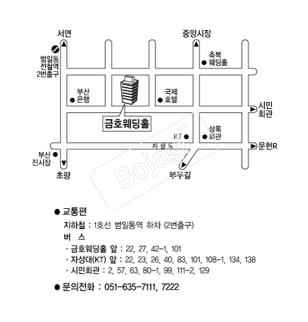 ��ȣ����Ȧ �൵ ���ڱ� ī�� ûø�� 