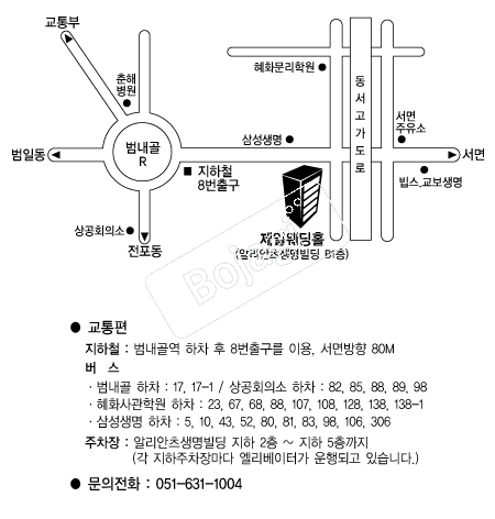 ���Ͽ���Ȧ �൵ ���ڱ� ī�� ûø�� 