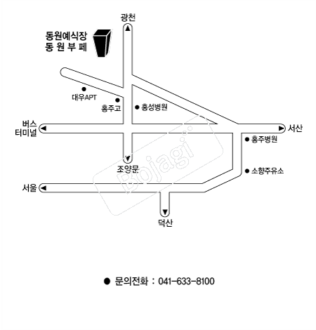 �����������Ȧ �൵ ���ڱ� ī�� ûø�� 