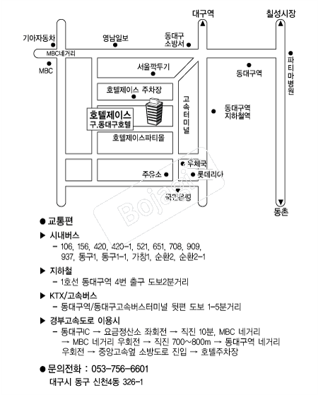 ȣ�����̽� �൵ ���ڱ� ī�� ûø�� 