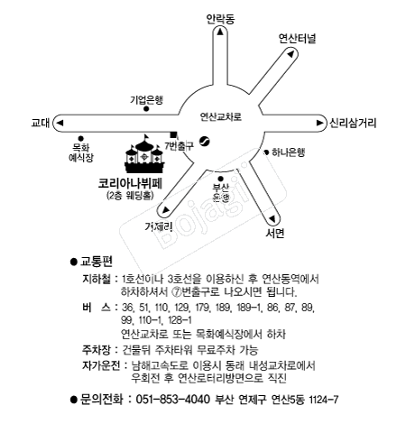 �ڸ��Ƴ����� �൵ ���ڱ� ī�� ûø�� 