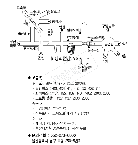 ����������MS �൵ ���ڱ� ī�� ûø�� 