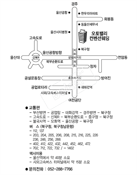����븮�����ǿ��� �൵ ���ڱ� ī�� ûø�� 