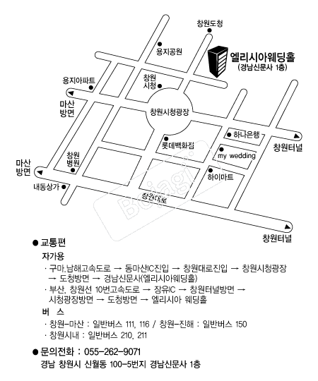 �����þ� �൵ ���ڱ� ī�� ûø�� 