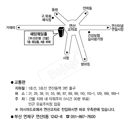 �ؾϿ���Ȧ �൵ ���ڱ� ī�� ûø�� 