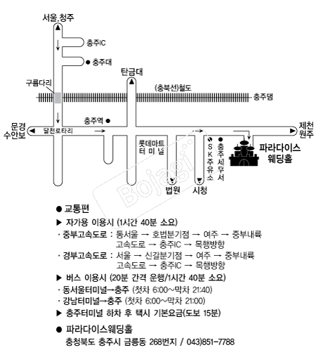 �Ķ���̽�����Ȧ �൵ ���ڱ� ī�� ûø�� 