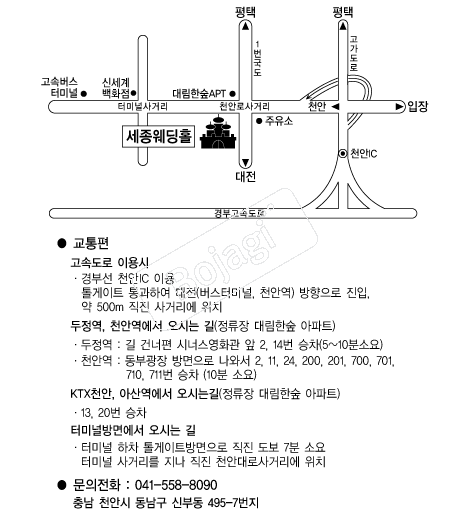��������Ȧ(õ��) �൵ ���ڱ� ī�� ûø�� 