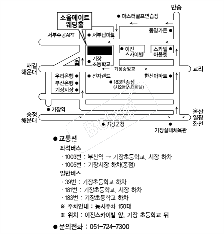 �ҿ����Ʈ�������� �൵ ���ڱ� ī�� ûø�� 