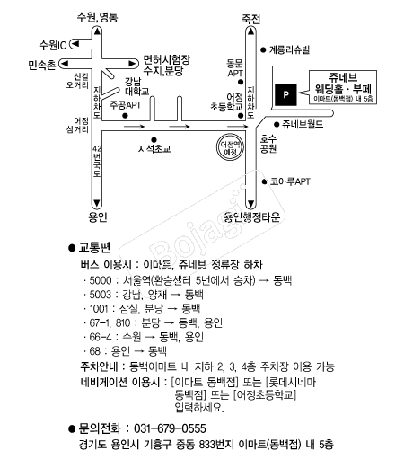 ��׺����Ȧ �൵ ���ڱ� ī�� ûø�� 