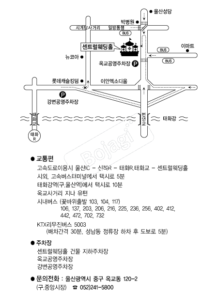 ��Ʈ������Ȧ �൵ ���ڱ� ī�� ûø�� 