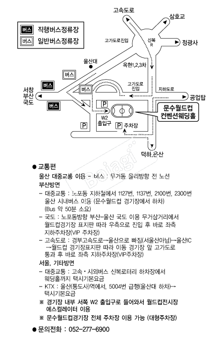 ���������������ǿ���Ȧ �൵ ���ڱ� ī�� ûø�� 