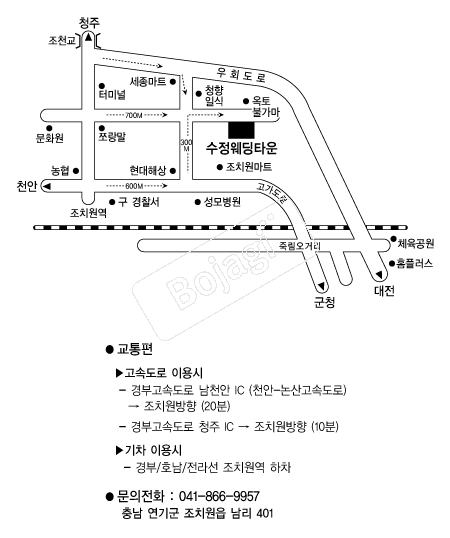 ��������Ÿ�� �൵ ���ڱ� ī�� ûø�� 