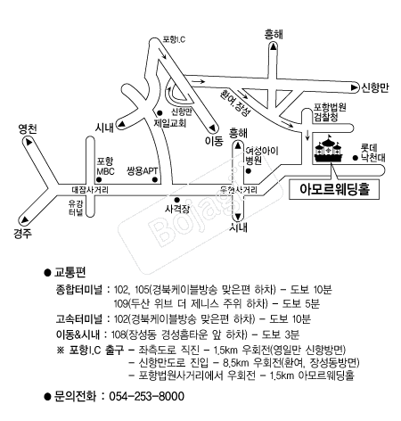 �Ƹ𸣿���Ȧ(����) �൵ ���ڱ� ī�� ûø�� 