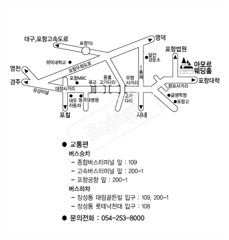 �Ƹ𸣿���Ȧ(����) �൵ ���ڱ� ī�� ûø�� 