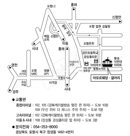 �Ƹ𸣿���Ȧ(����) �൵ ���ڱ� ī�� ûø�� 