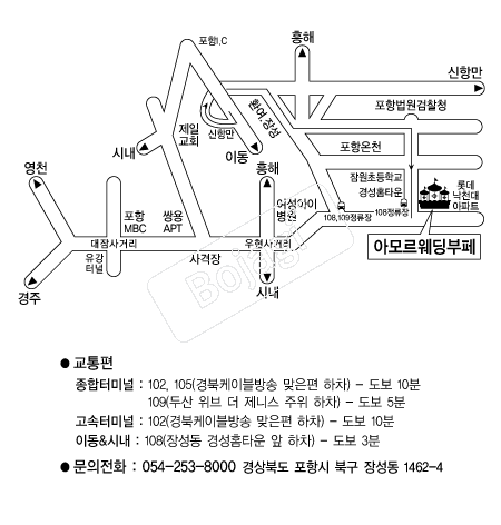 �Ƹ𸣿���Ȧ(����) �൵ ���ڱ� ī�� ûø�� 