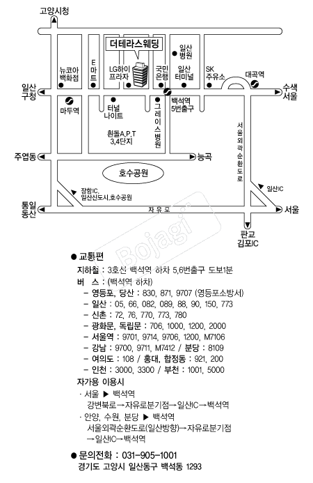 ���׶󽺿��� �൵ ���ڱ� ī�� ûø�� 