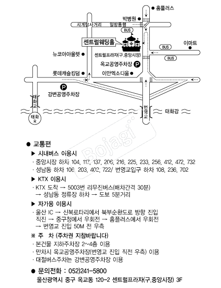 ��Ʈ������Ȧ �൵ ���ڱ� ī�� ûø�� 