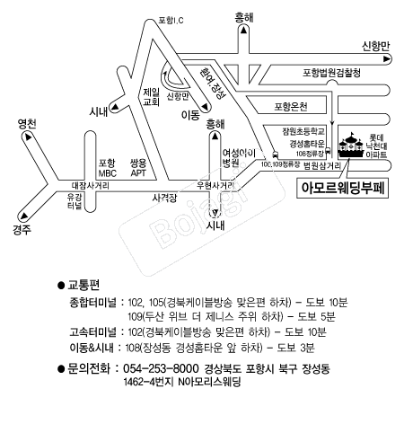 �Ƹ𸣿���Ȧ(����) �൵ ���ڱ� ī�� ûø�� 