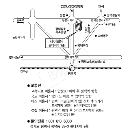 ���̿��� �൵ ���ڱ� ī�� ûø�� 