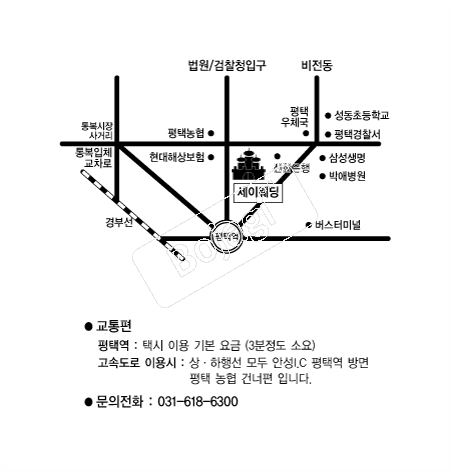 ���̿��� �൵ ���ڱ� ī�� ûø�� 