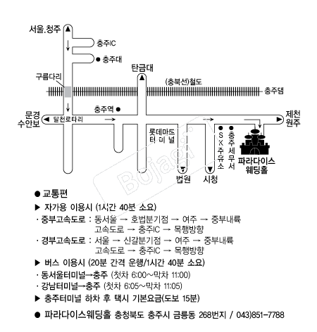 �Ķ���̽�����Ȧ �൵ ���ڱ� ī�� ûø�� 