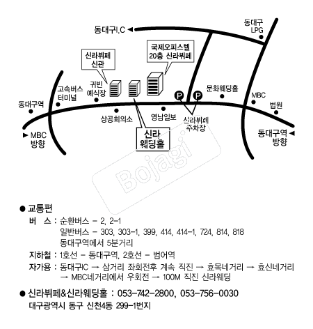 �Ŷ����Ȧ(�뱸) �൵ ���ڱ� ī�� ûø�� 