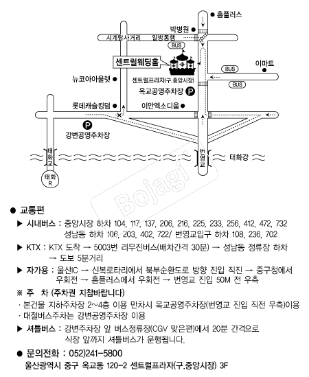 ��Ʈ������Ȧ �൵ ���ڱ� ī�� ûø�� 