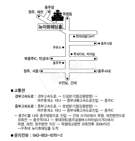 ����ȭ����Ȧ �൵ ���ڱ� ī�� ûø�� 