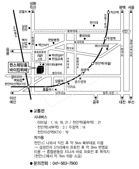 ��������Ȧ(õ��) �൵ ���ڱ� ī�� ûø�� 