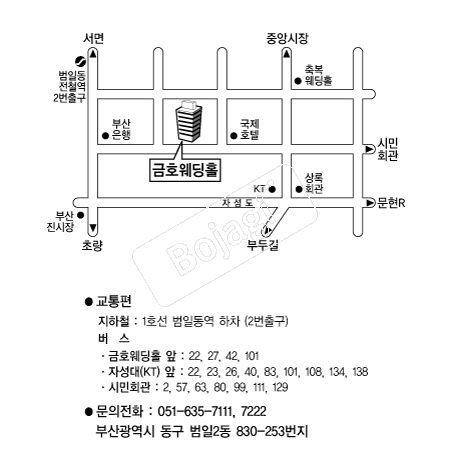 ��ȣ����Ȧ �൵ ���ڱ� ī�� ûø�� 