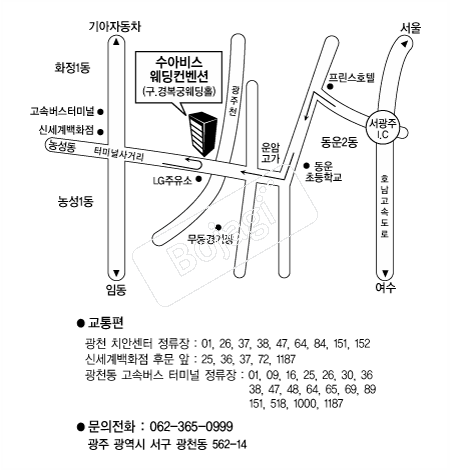 ���ƺ񽺿��������� �൵ ���ڱ� ī�� ûø�� 