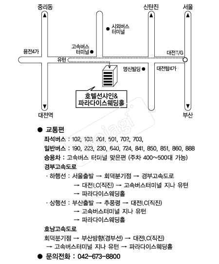 ȣ�ڼ������Ķ���̽�����Ȧ �൵ ���ڱ� ī�� ûø�� 