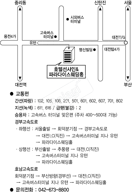 ȣ�ڼ������Ķ���̽�����Ȧ �൵ ���ڱ� ī�� ûø�� 