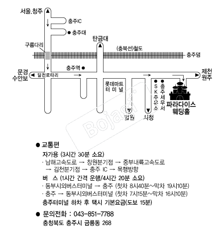 �Ķ���̽�����Ȧ �൵ ���ڱ� ī�� ûø�� 