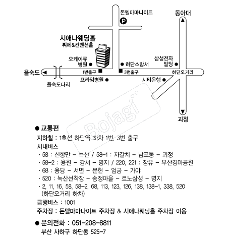 �þֳ�����Ȧ �൵ ���ڱ� ī�� ûø�� 