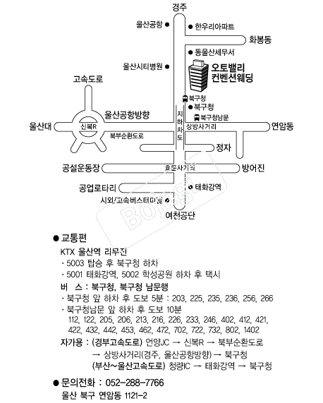 ����븮�����ǿ��� �൵ ���ڱ� ī�� ûø�� 