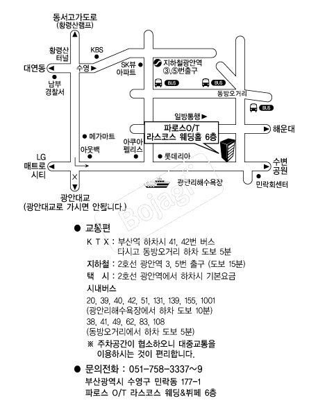 ���ڽ�����Ȧ �൵ ���ڱ� ī�� ûø�� 
